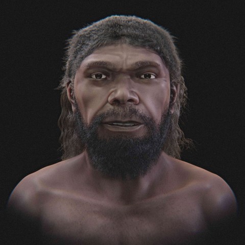 Face of Oldest Known Human Revealed After 300000 Years