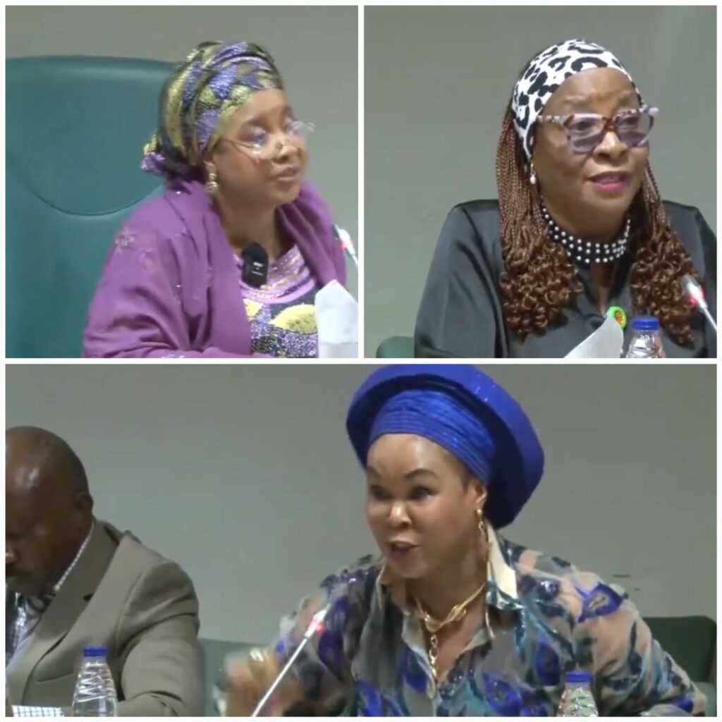 Minister of Women Affairs and House of Reps Committee in heated dispute over alleged fund mismanagement (video)