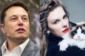 Elon Musk is called a 'creep' after he trolled Taylor Swift for endorsing Kamala Harris