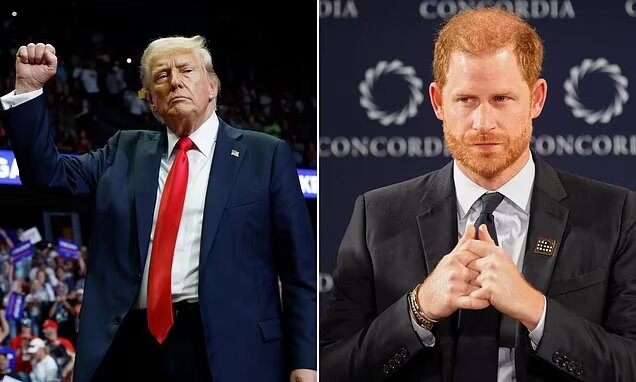 Prince Harry’s Confidential Immigration Files May Be Released as Trump Declines Protection