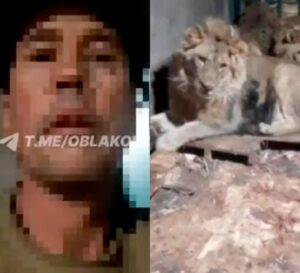 Zookeeper films himself being e@ten @live by lions after he went onto cage to impress his girlfriend (video)