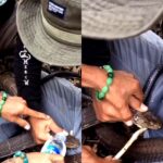 Moment snake bites man’s p3n!s and refuses to let go (video)