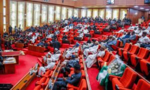 Senate moves to enforce use of Nigerian-made vehicles in MDAs