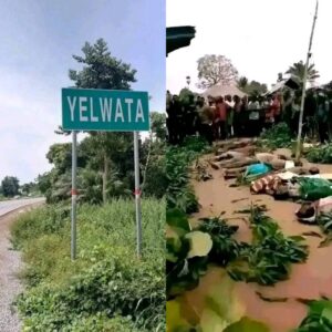 Family loses 23 members in herdsmen attack in Benue attack