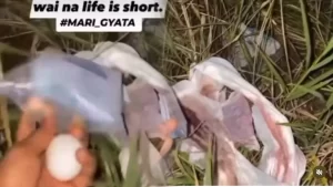 Young woman curses a married man with her panties stained with her menses for sl33ping with her blocking her afterward (video)