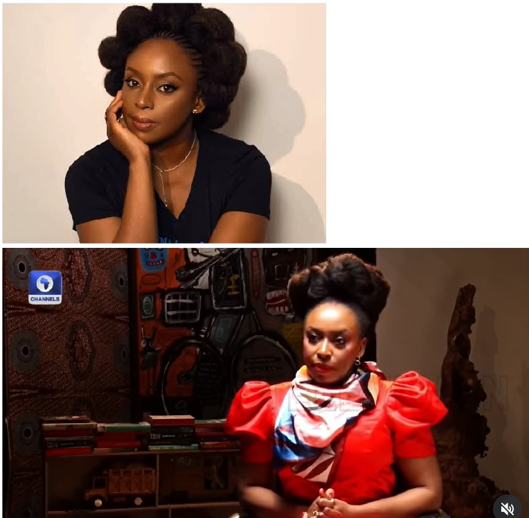 Middle Class Now Begging to Survive Amid Economic Hardship - Chimamanda Adichie
