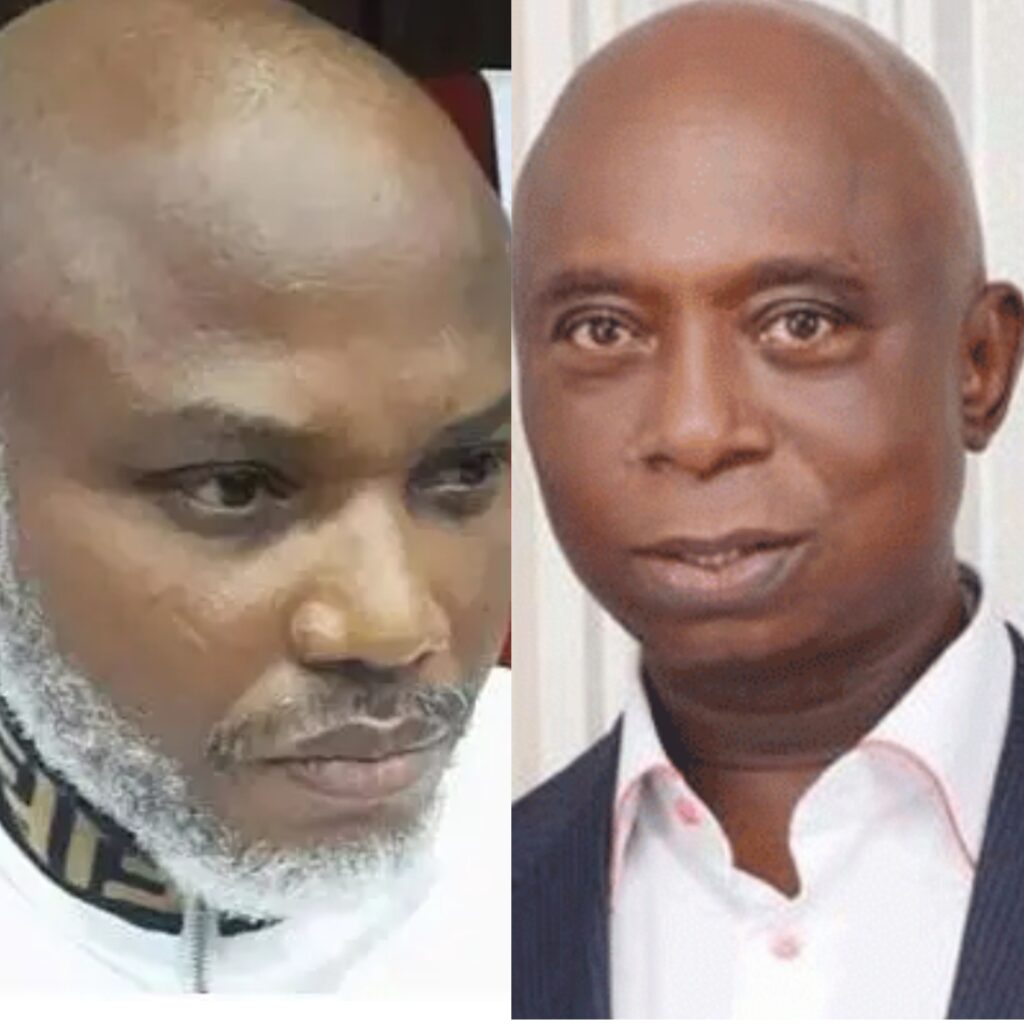 Nnamdi Kanu's release will bring peace to South-East  —  Ned Nwoko
