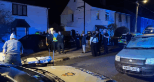 Nine-month-old baby di3s after dog attack at home