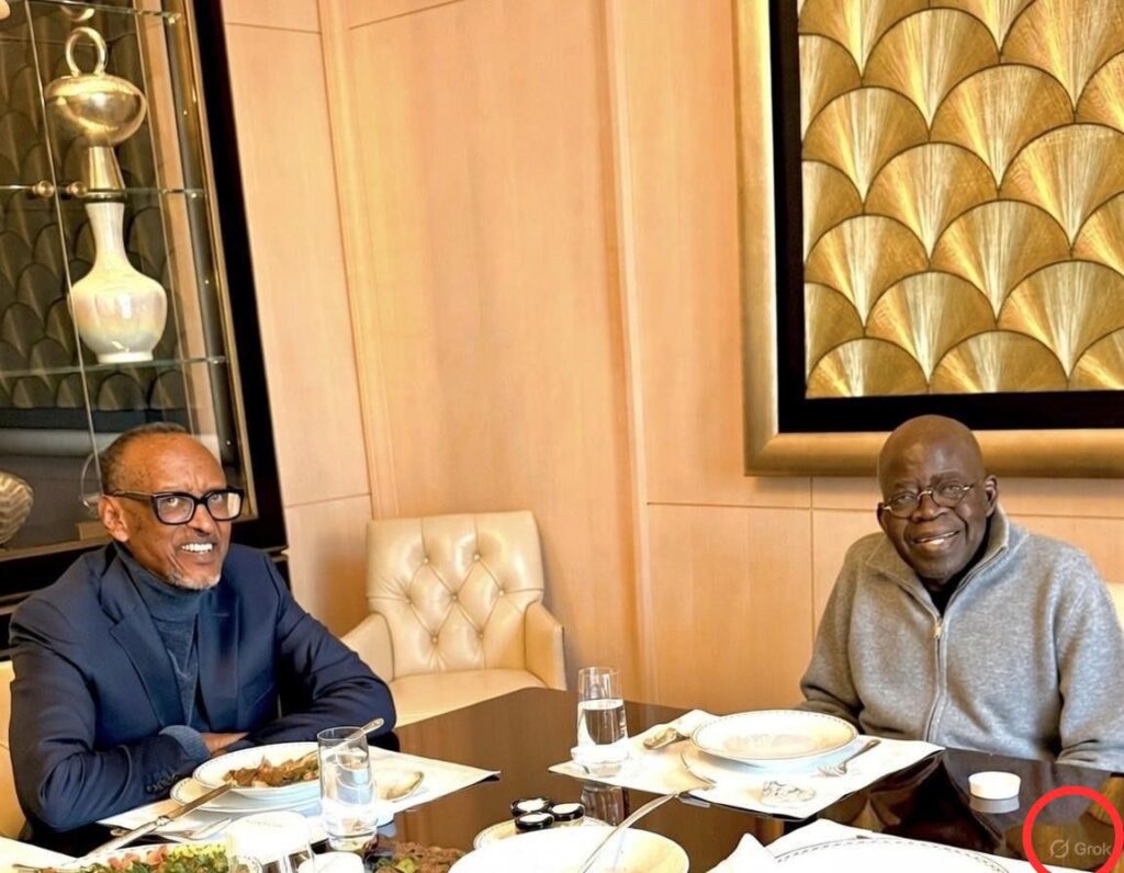 Presidential aide shares ‘AI-generated image’ of President Tinubu meeting Rwanda President in Paris