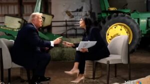 Donald Trump storms out of interview after ranting about 'crooked, one-sided press' (video)